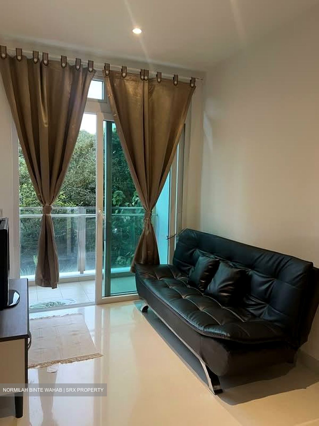 Parc Rosewood (D25), Condominium #597355861